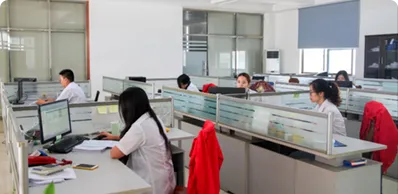 Professional Engineering Team
